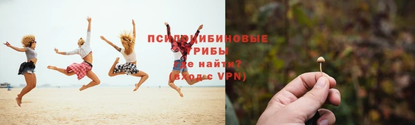 ГАЛЛЮЦИНОГЕННЫЕ ГРИБЫ Киров
